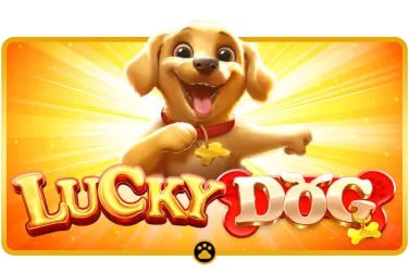 sisil4d Explore Live Roulette Diamond